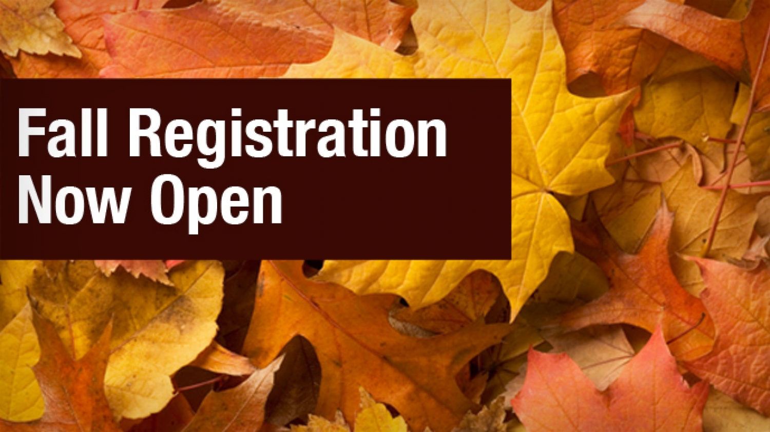 Our Courses Overview Adult Learning Centre